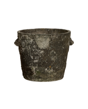Willy Guhl Planter - Basket
