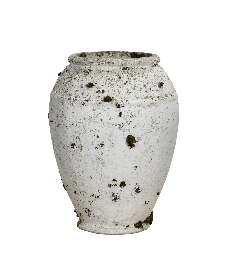 Vintage Willy Guhl Swiss fiber cement planter, 1950s, showing textured weathered white surface with moss.