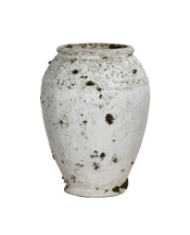 Willy Guhl Planter - Jardiniere