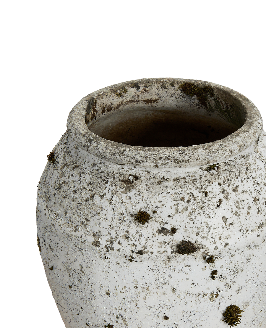 Details of vintage Willy Guhl planter rim and weathered white oak surface.