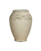 Willy Guhl Planter - Jardiniere