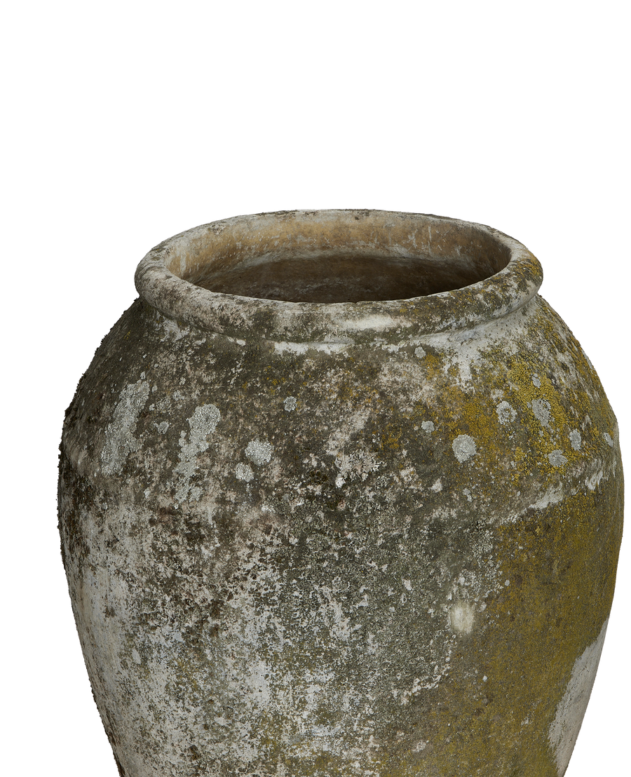 Close-up of Willy Guhl planter rim, showing moss and lichen patina.