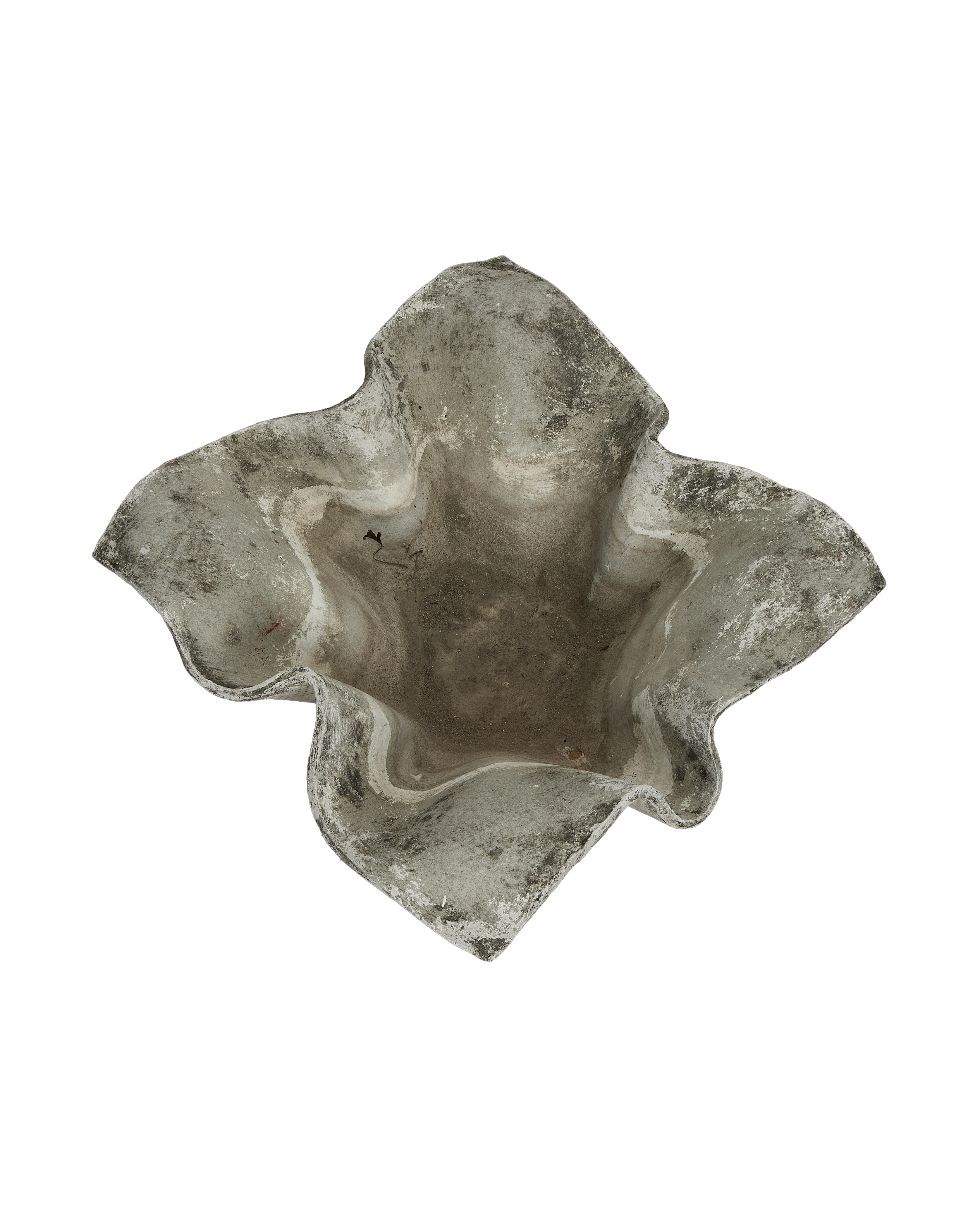 Willy Guhl concrete planter, elephant ear top-down view showing weathered vintage finish.
