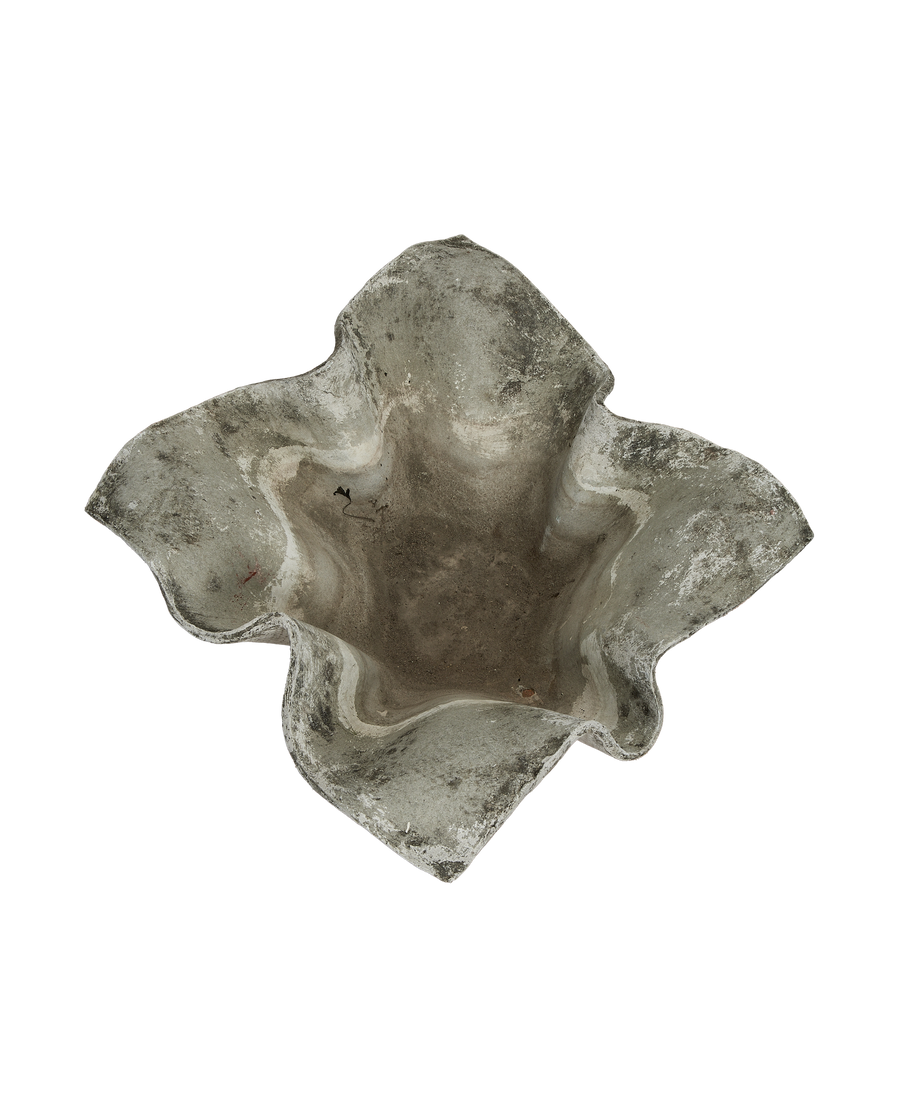 Willy Guhl concrete planter, elephant ear top-down view showing weathered vintage finish.