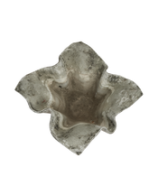 Willy Guhl Planter - Elephant