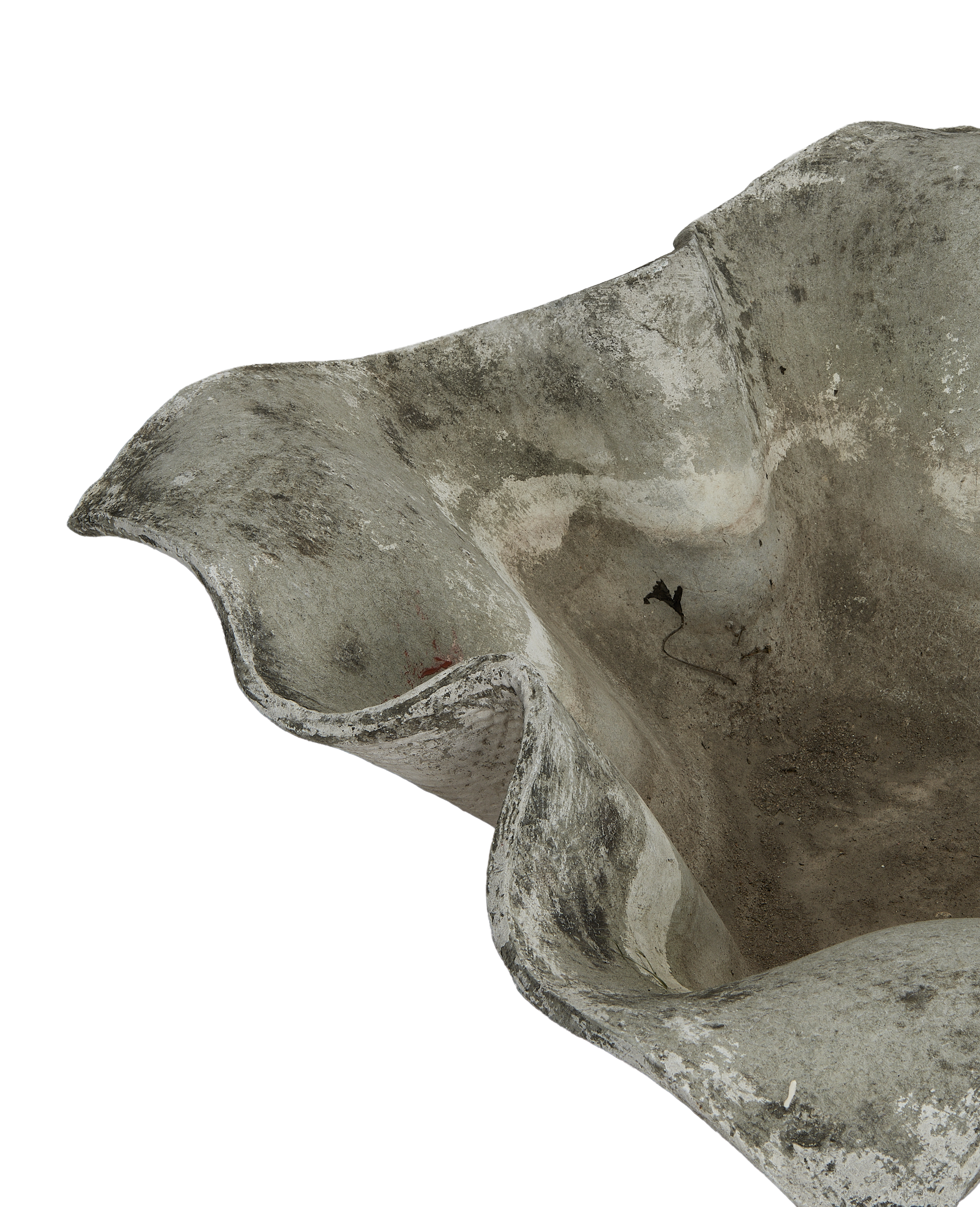 Willy Guhl vintage fiber cement planter, close-up of textured elephant ear shape.