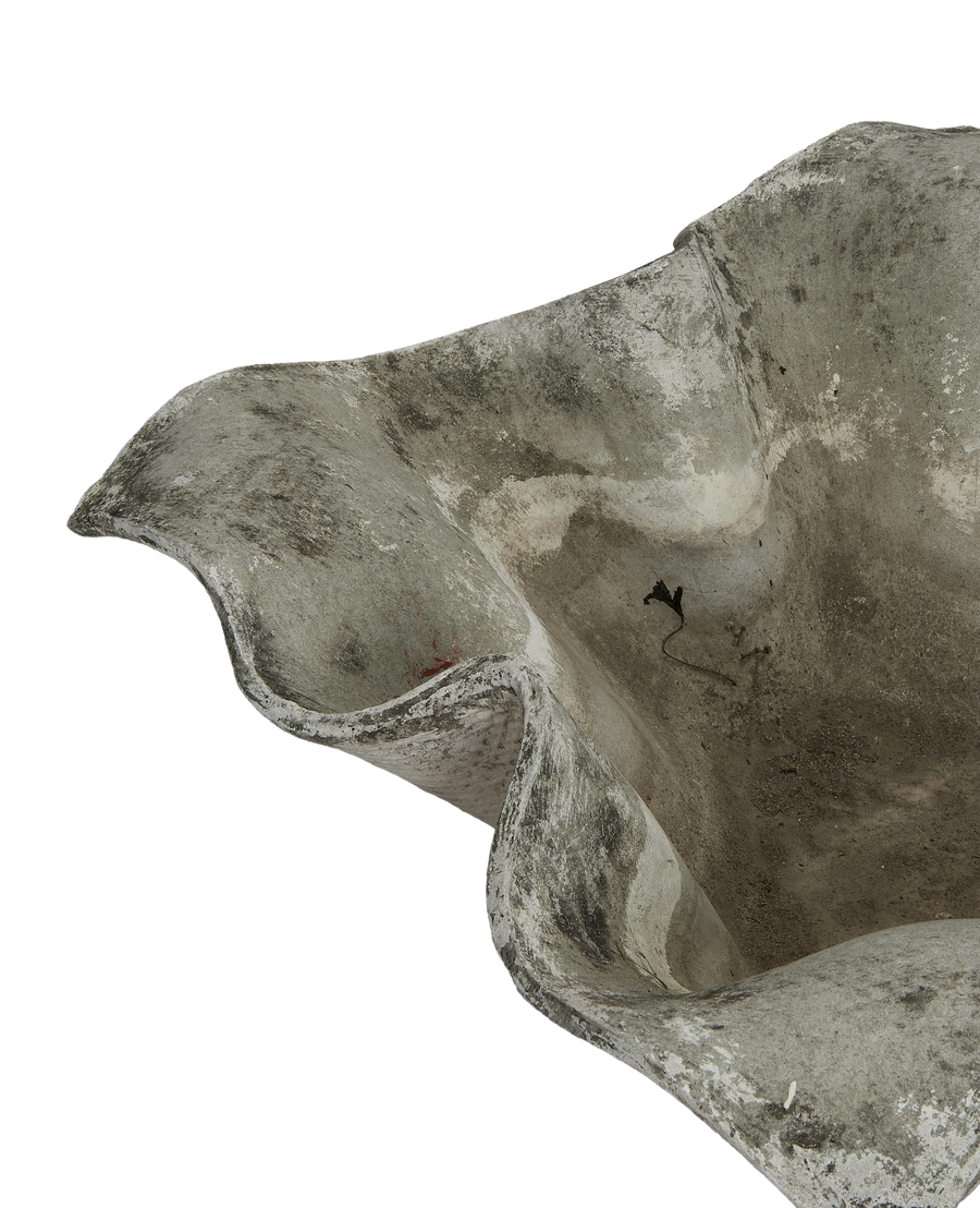 Willy Guhl vintage fiber cement planter, close-up of textured elephant ear shape.