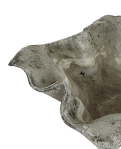 Willy Guhl Planter - Elephant