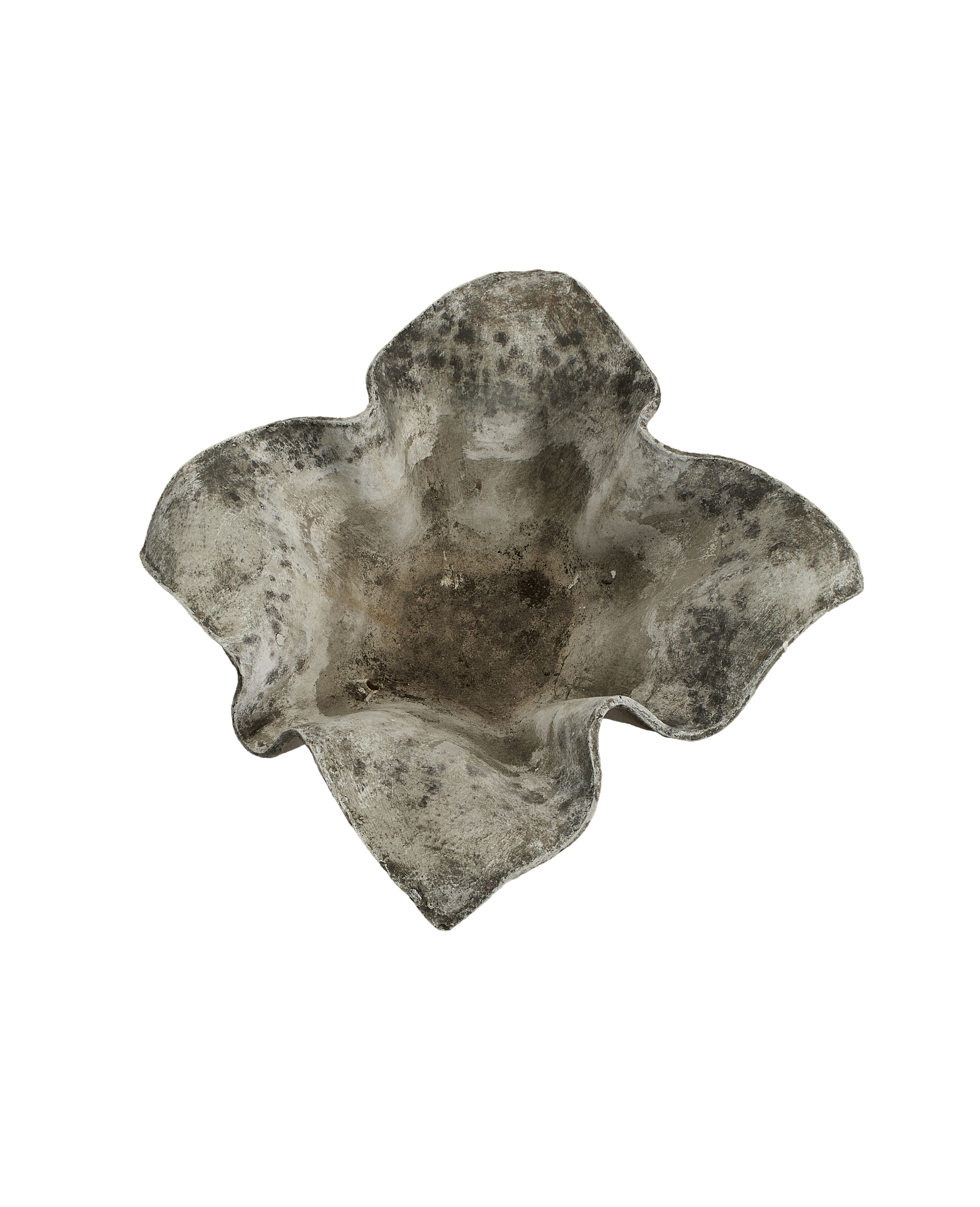 Willy Guhl concrete planter, Elephant model, top-down view showing vintage patina.