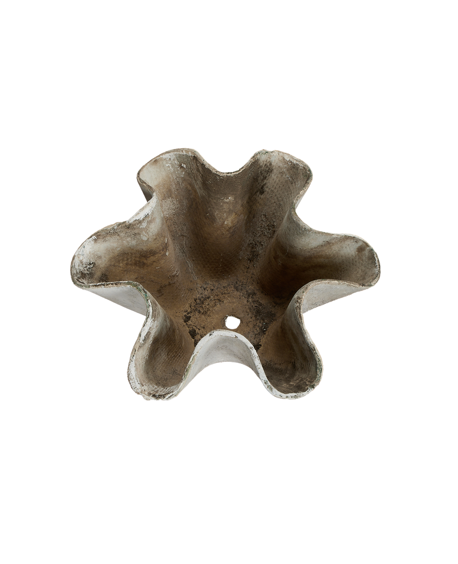 Vintage Willy Guhl concrete planter, from above, showing organic form and aged patina.