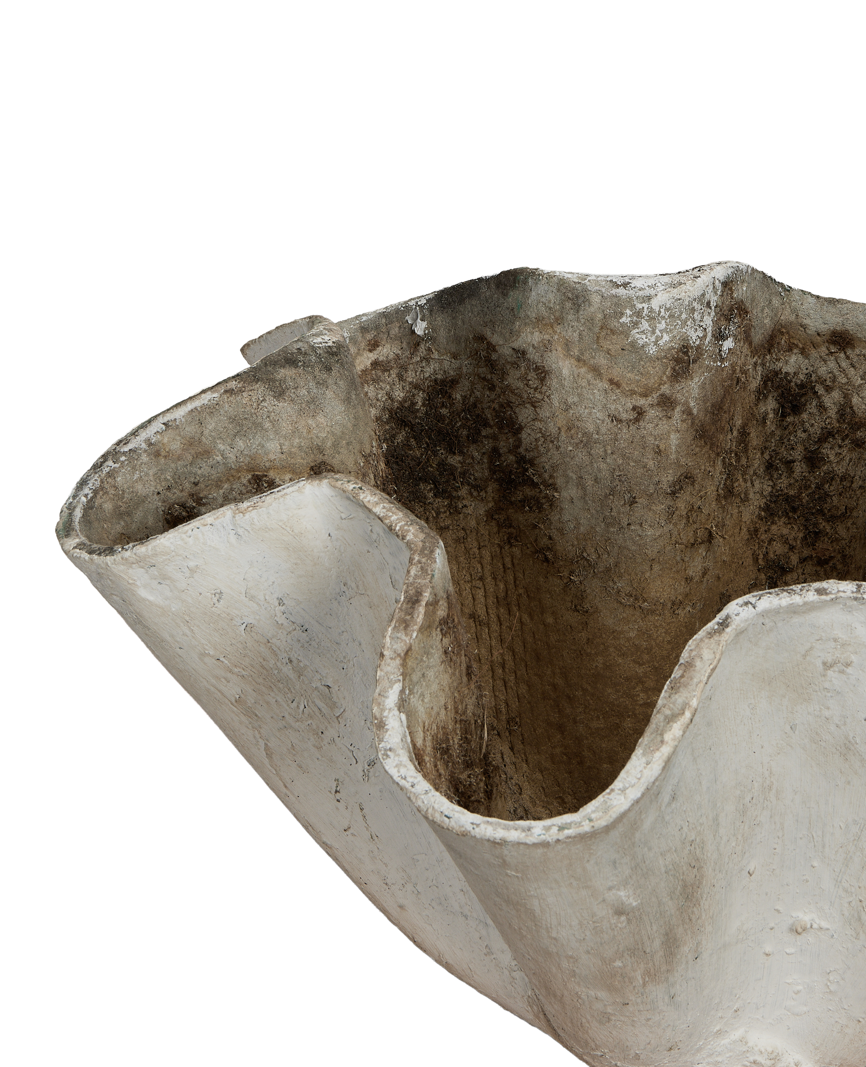 Vintage Willy Guhl concrete planter top-down close-up, organic form, showing interior distressing.