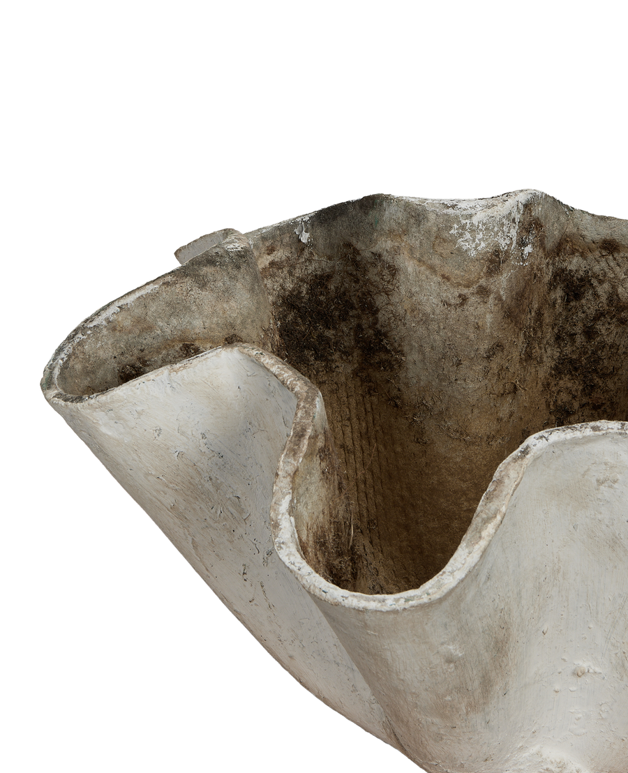 Vintage Willy Guhl concrete planter top-down close-up, organic form, showing interior distressing.