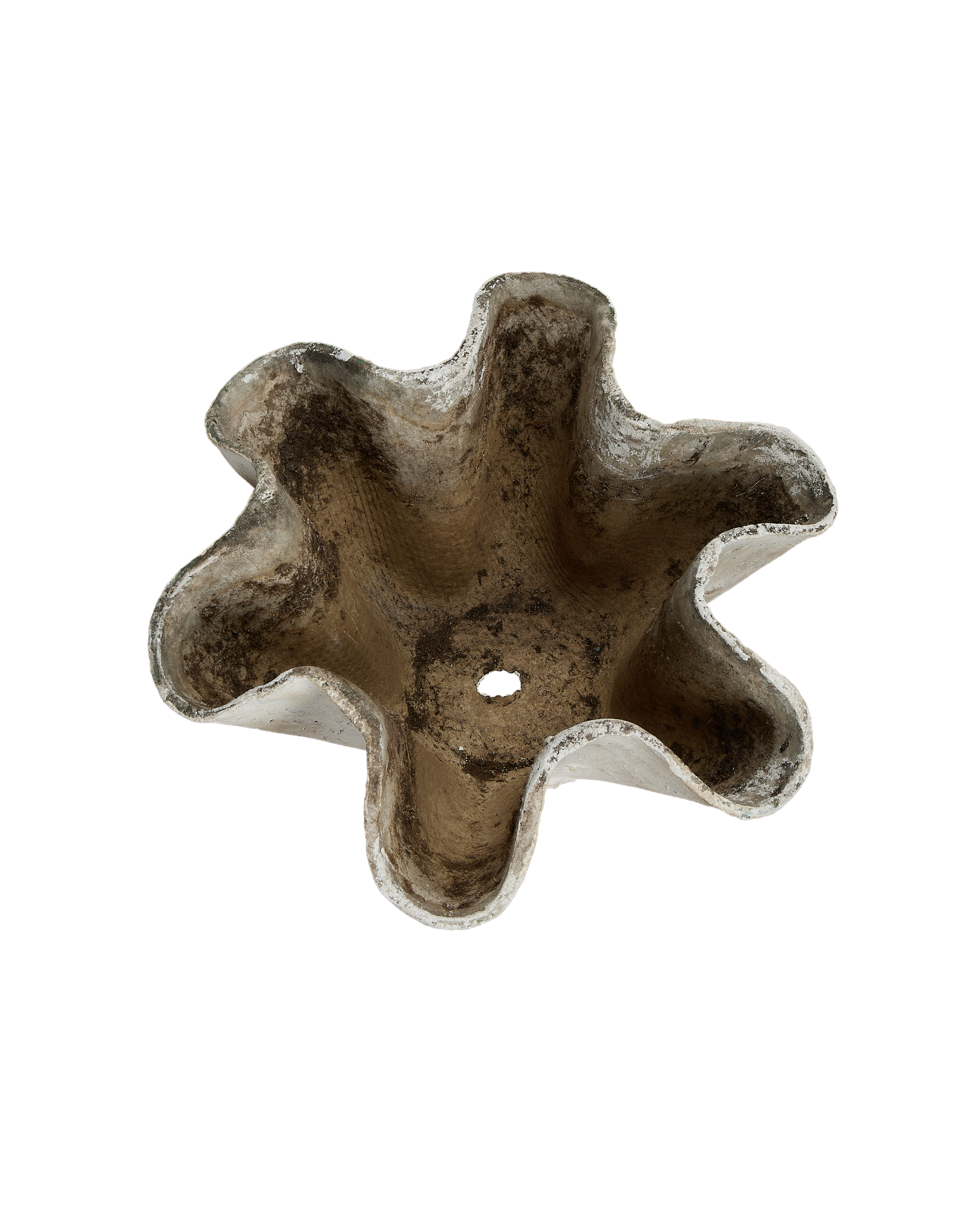 Willy Guhl planter, top-down view showing six organic lobes and central drainage hole.