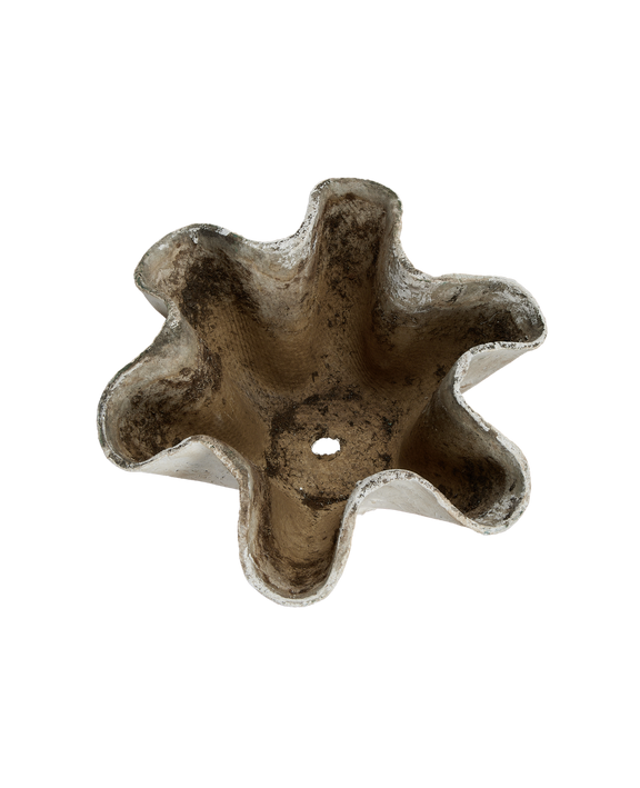 Willy Guhl Planter - Organic