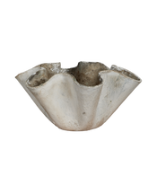 Willy Guhl Planter - Organic