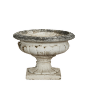 Medicis Vasque