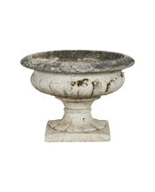 Medicis Vasque