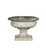 Medicis Vasque