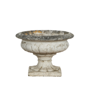Medicis Vasque
