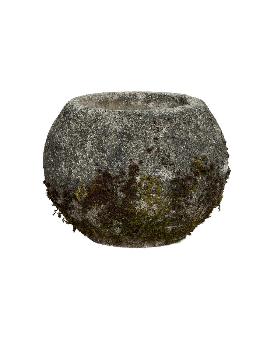 French vintage concrete orb planter, heavy natural moss and lichen on the side.