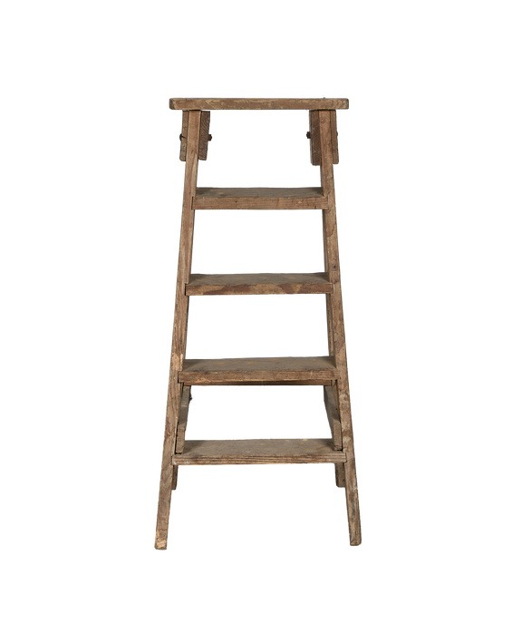 Wood Shop Ladder