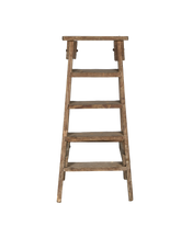 Wood Shop Ladder