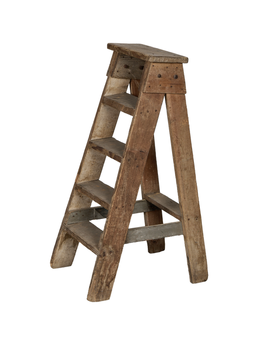 Wood Shop Ladder