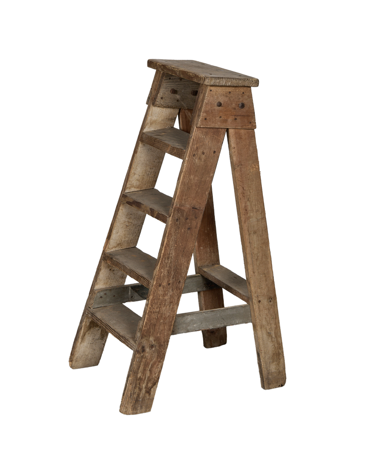 Wood Shop Ladder