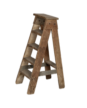 Wood Shop Ladder