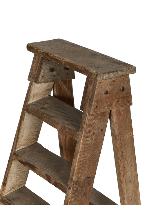 Wood Shop Ladder