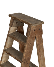 Wood Shop Ladder