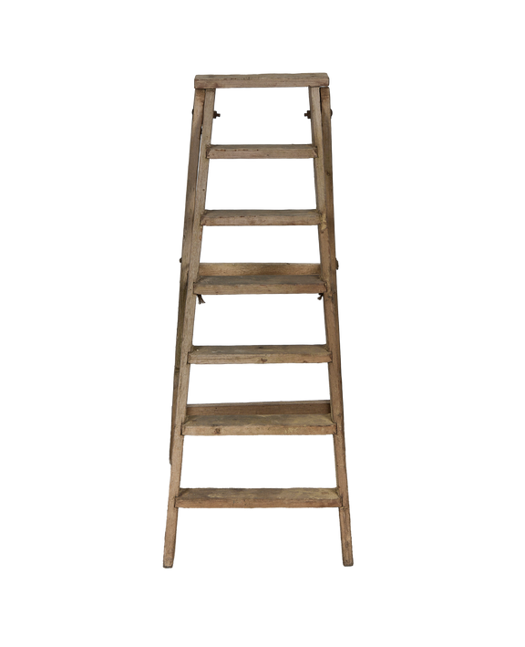 Wood Shop Ladder