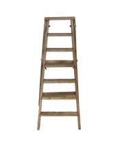 Wood Shop Ladder