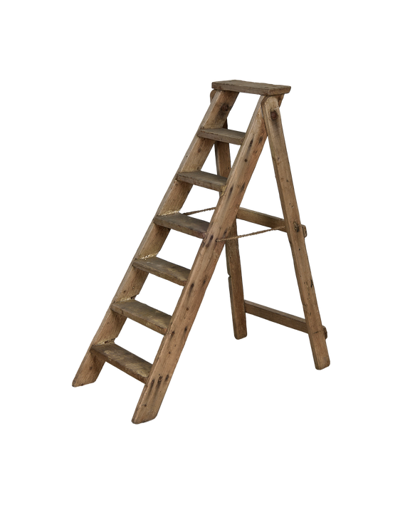 Wood Shop Ladder