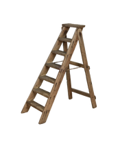 Wood Shop Ladder