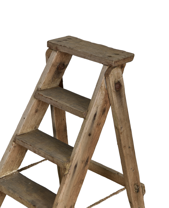 Wood Shop Ladder