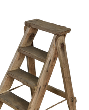 Wood Shop Ladder