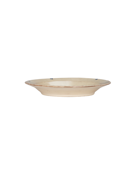 Vincent Plate