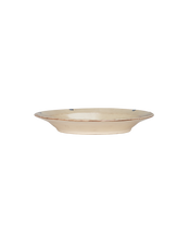 Vincent Plate