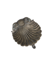 Brash Shells Ashtray - Set of 2