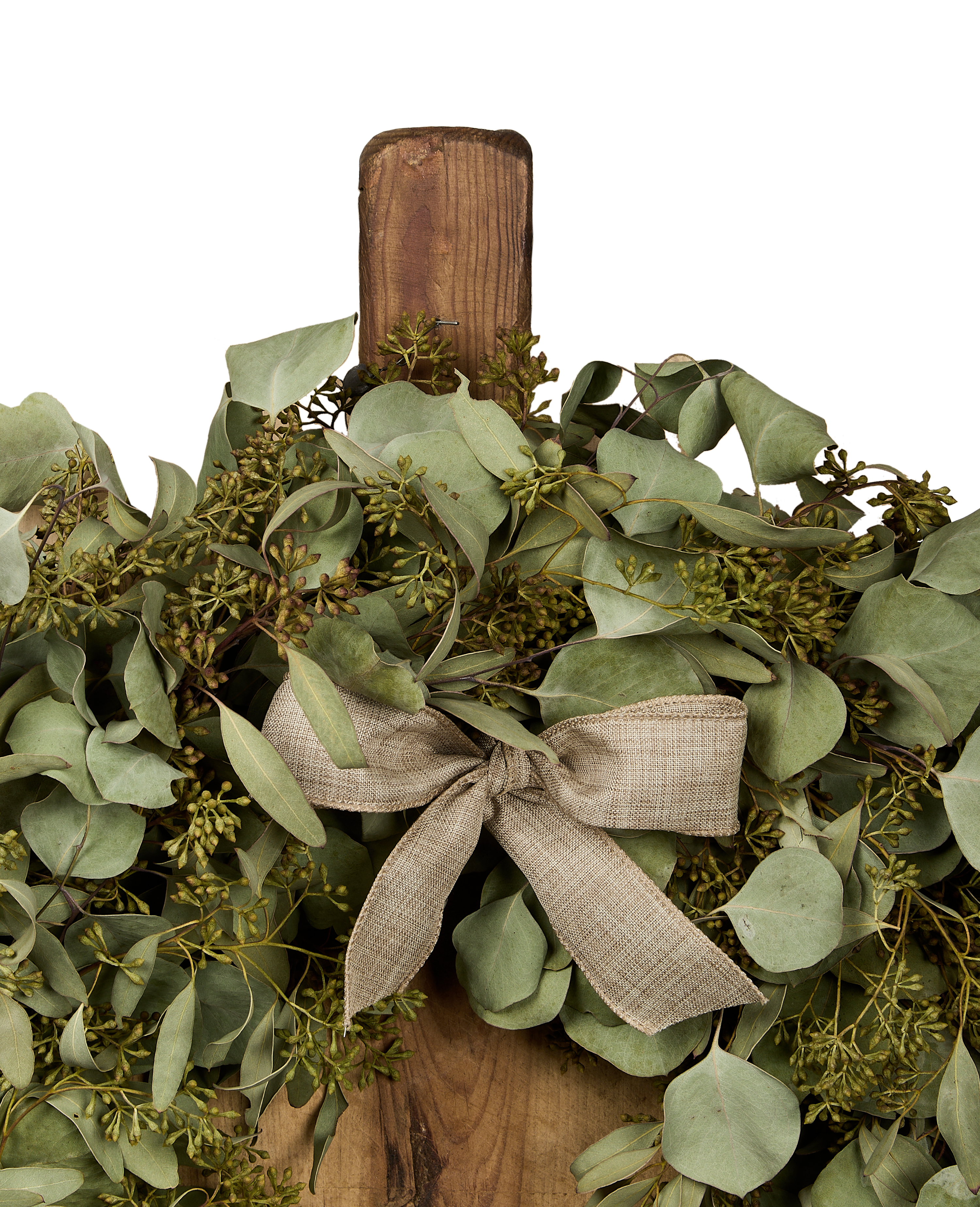 The Matriarch Bundle