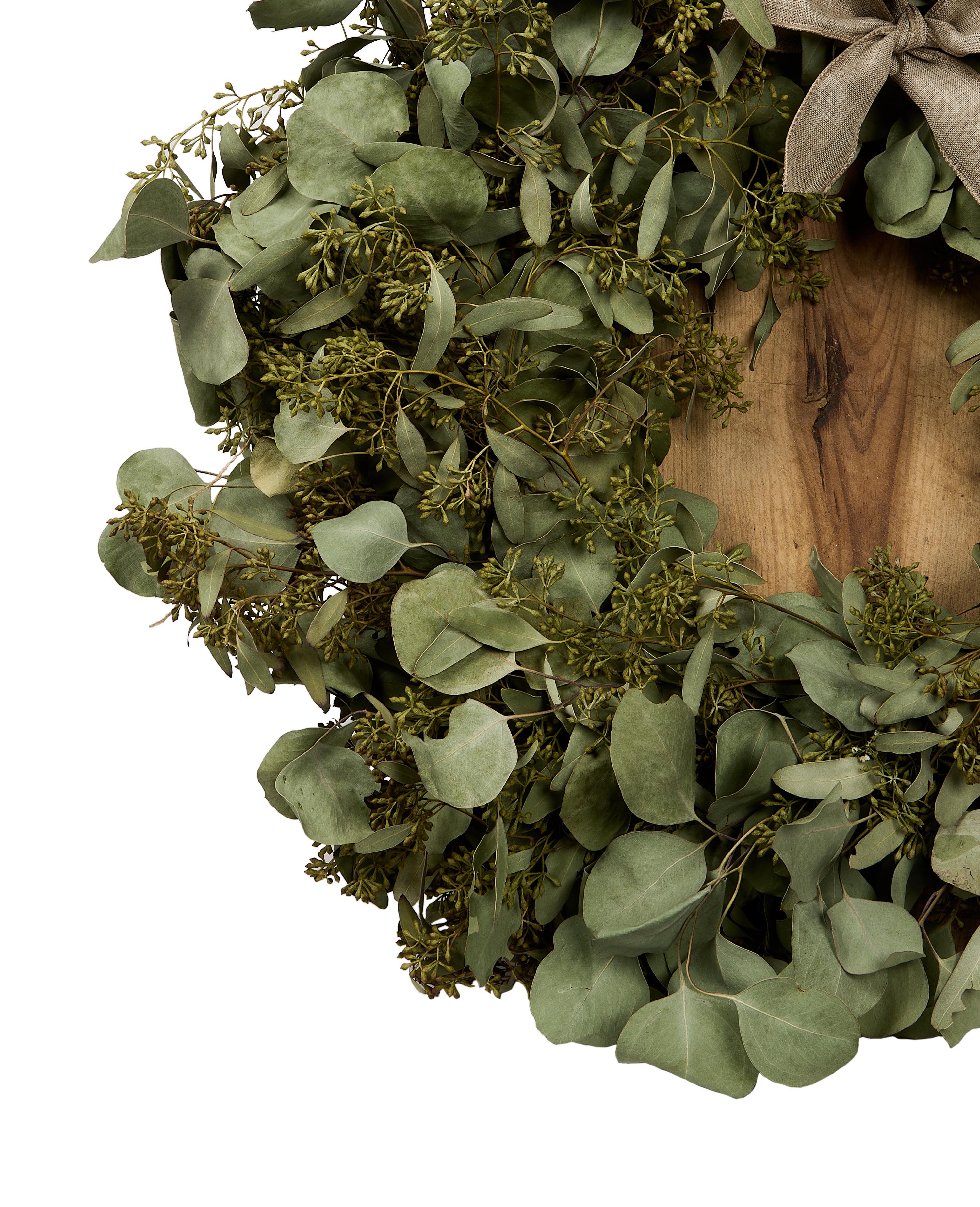 The Matriarch Bundle