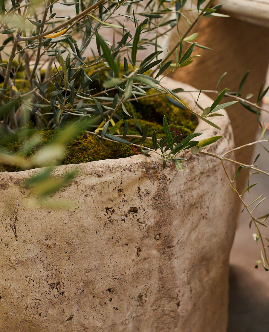 Reproduction Cast Trough - Round from Indonesia - Planters, Fountains, & Water Features