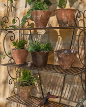 Devotion Flower Pot