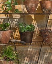 Devotion Flower Pot