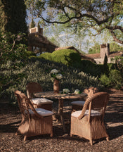 Cradle Rattan Dining Chair