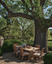 Memory Rattan Dining Chair