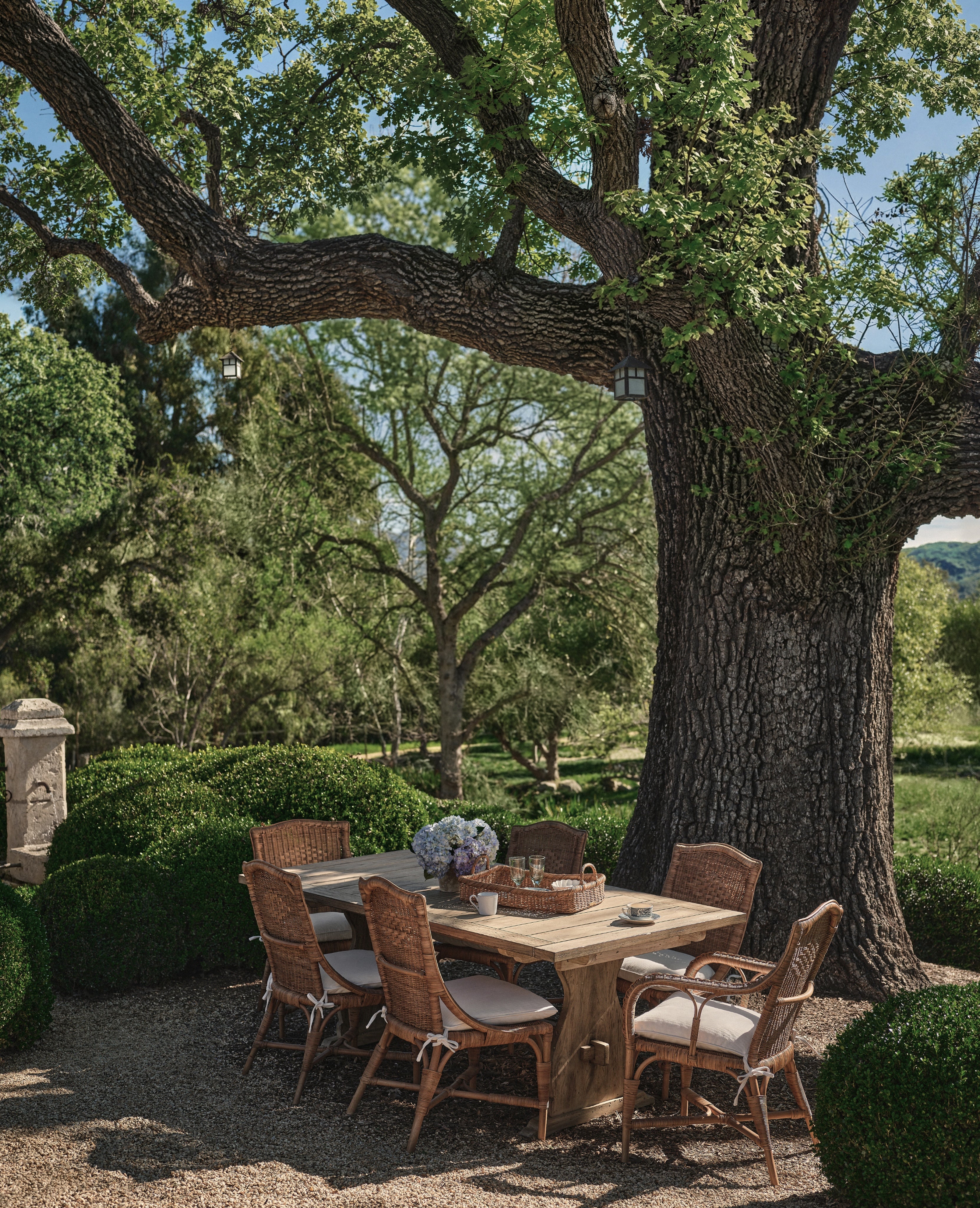 Memory Rattan Dining Armchair