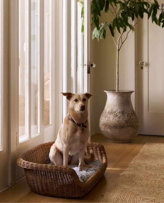 Daisy Dog Bed
