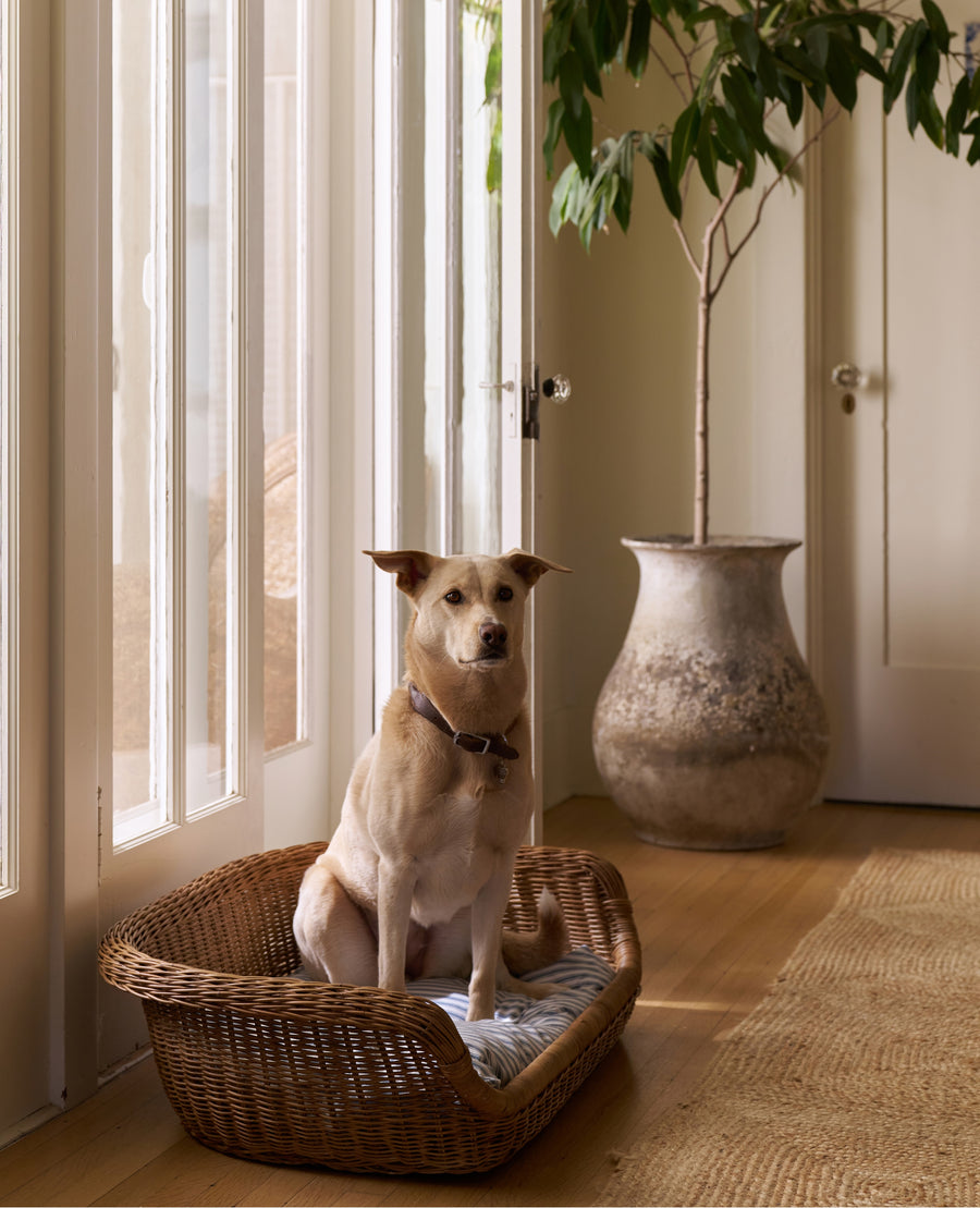 Daisy Dog Bed